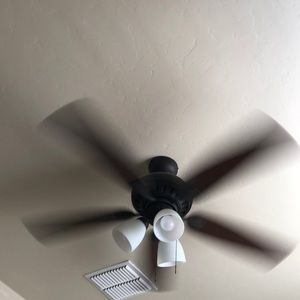 Meet your Posher, Perry